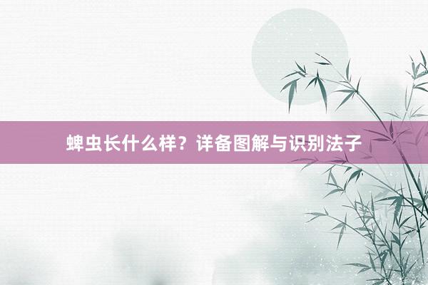 蜱虫长什么样？详备图解与识别法子