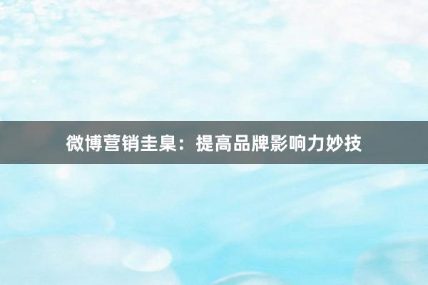 微博营销圭臬：提高品牌影响力妙技