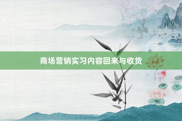商场营销实习内容回来与收货